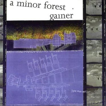 A Minor Forest / Gainer by A Minor Forest - album cover