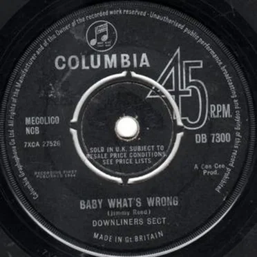 Baby What's Wrong / Be a Sect Maniac