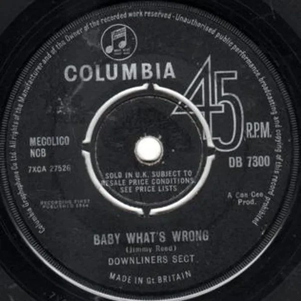 Baby What's Wrong / Be a Sect Maniac