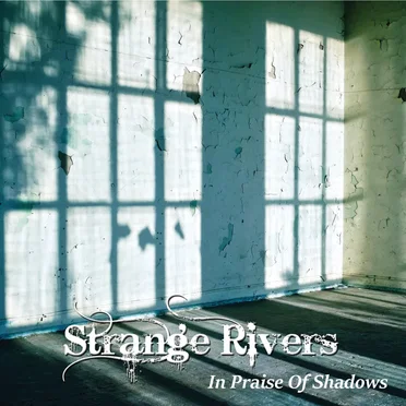 In Praise Of Shadows