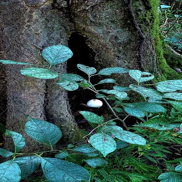 Music for Mental Health Five