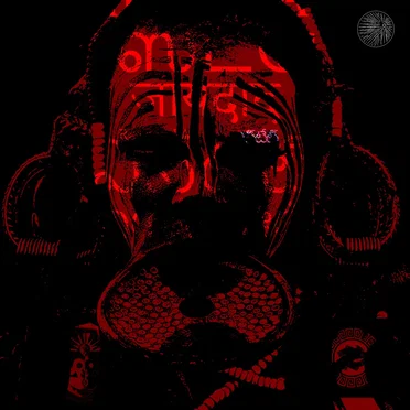 RAICES by Various Artists - album cover