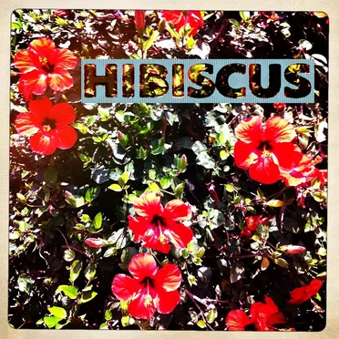 Hibiscus - The Peanut Sessions Vol. 1