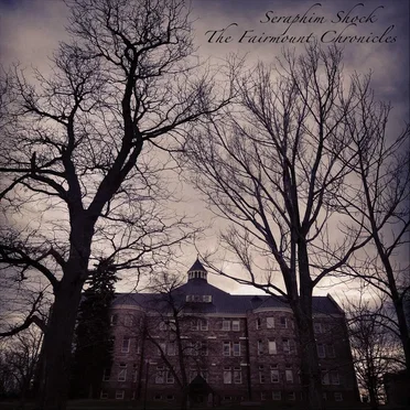 The Fairmount Chronicles, Chapter One by Seraphim Shock - album cover