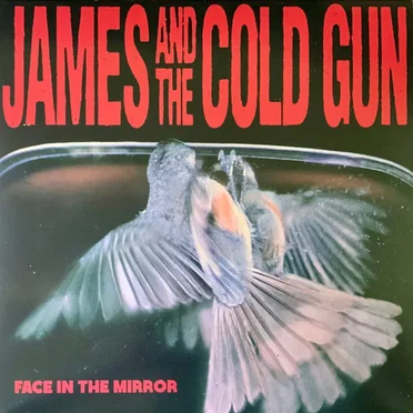Face in the Mirror by James And The Cold Gun - album cover