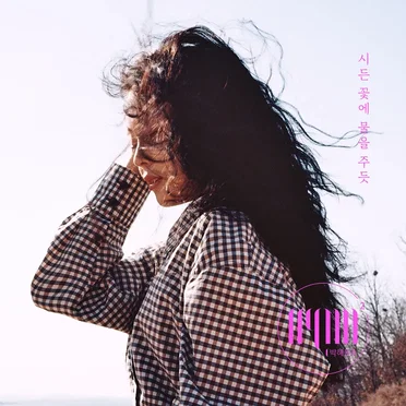 시든 꽃에 물을 주듯