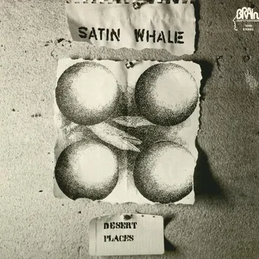 Desert Places by Satin Whale - album cover