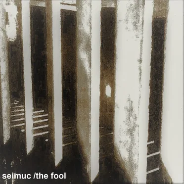 The Fool