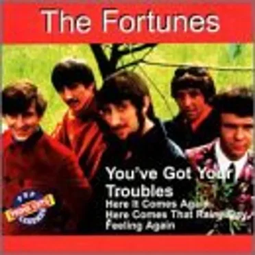 You’ve Got Your Troubles by The Fortunes - album cover