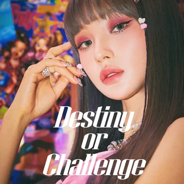 Destiny or Challenge by heeo - album cover