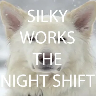 Silky Works the Night Shift