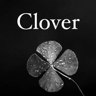 Clover (Black Clover)