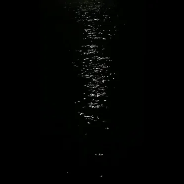 Not Dark Yet