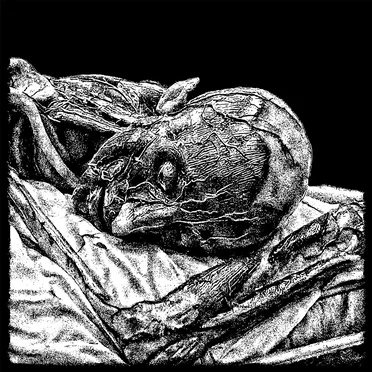 Domination by Annihilation by CZN - album cover