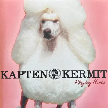Playboy-Haren