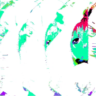 EP 2