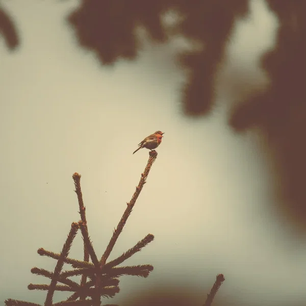 Somewhere Only You Know