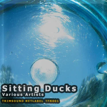 Sitting Ducks by Various Artists - album cover