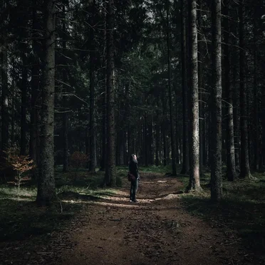In the Silence I Can Finally Hear