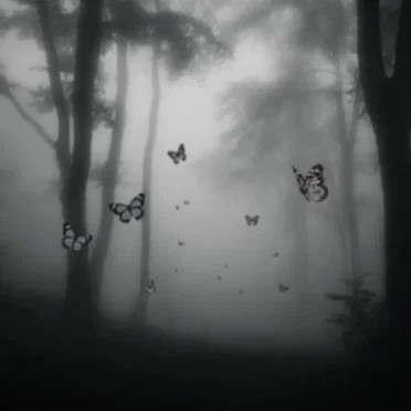 As The Butterfly
