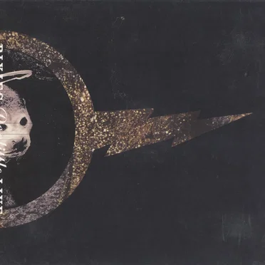 2010-03-21: Doolittle Live: Festival Hall, Melbourne, Australia