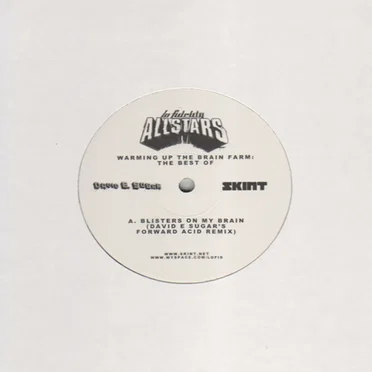 Blisters on My Brain by Lo Fidelity Allstars - album cover