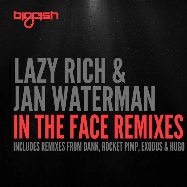 In the Face Remixes