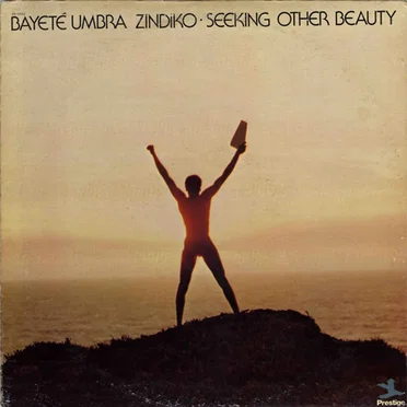 Seeking Other Beauty