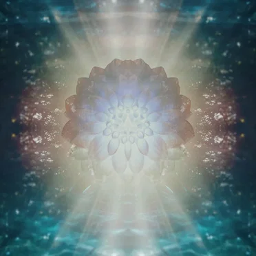 Bloomphase