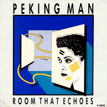 Room That Echoes