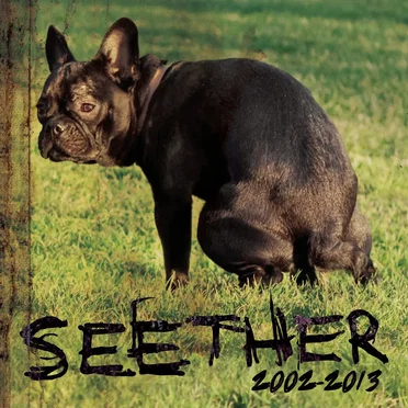 Seether: 2002–2013