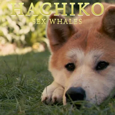 Hachiko