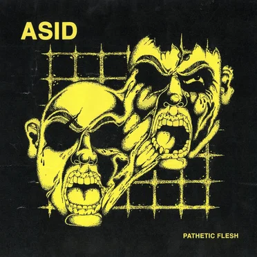 Pathetic flesh by Asid - album cover