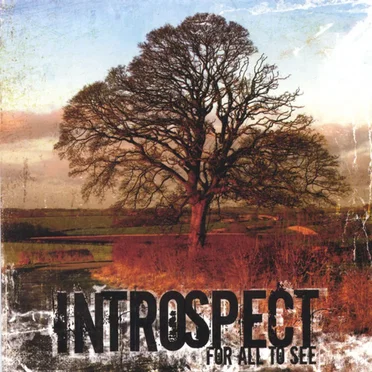 For All to See by Introspect - album cover
