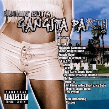 Nuthin' but a Gangsta Party by Various Artists - album cover