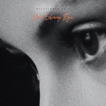 Your Shining Eyes