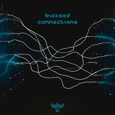 Connections