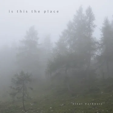 is this the place