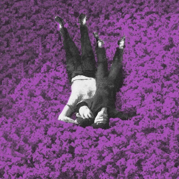 Gracias por las violetas