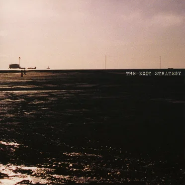 The Exit Strategy by The Exit Strategy - album cover