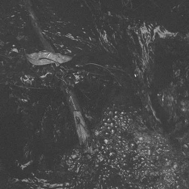 Holy Water by Holy Water - album cover