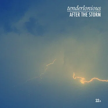 AFTER THE STORM by Tenderlonious - album cover