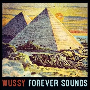 Forever Sounds by Wussy - album cover