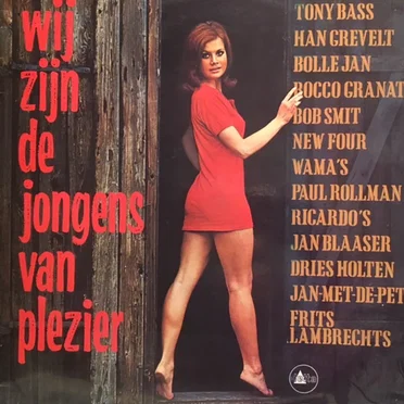 Wij zijn de jongens van plezier by Various Artists - album cover