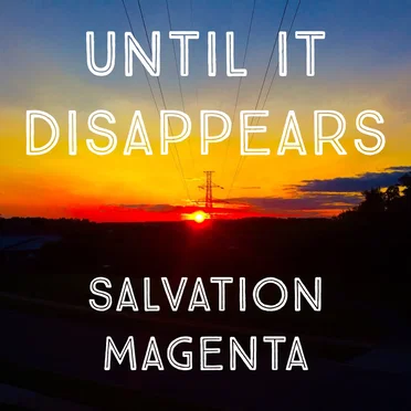 Until It Disappears