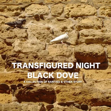 Black Dove by Transfigured Night - album cover