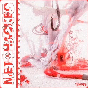 Metahackeo by Pumuky - album cover