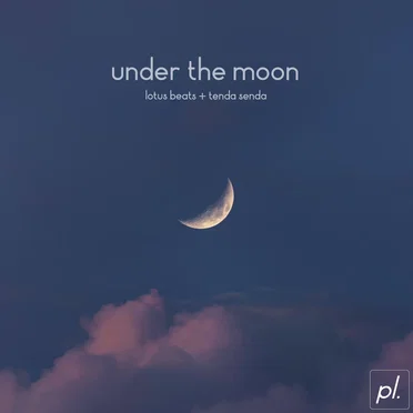 Under the Moon