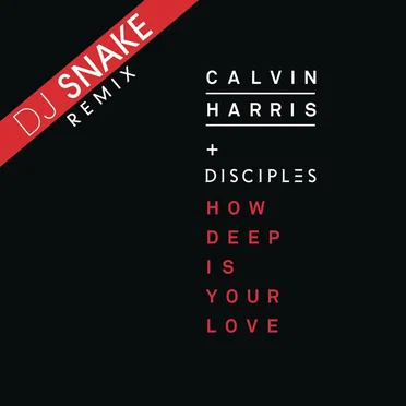 How Deep Is Your Love (DJ Snake remix)