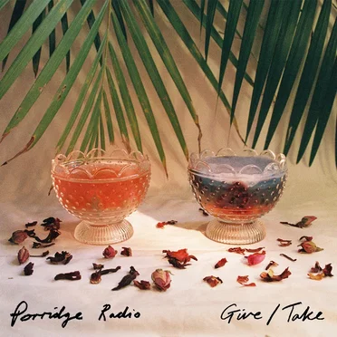 Give / Take by Porridge Radio - album cover